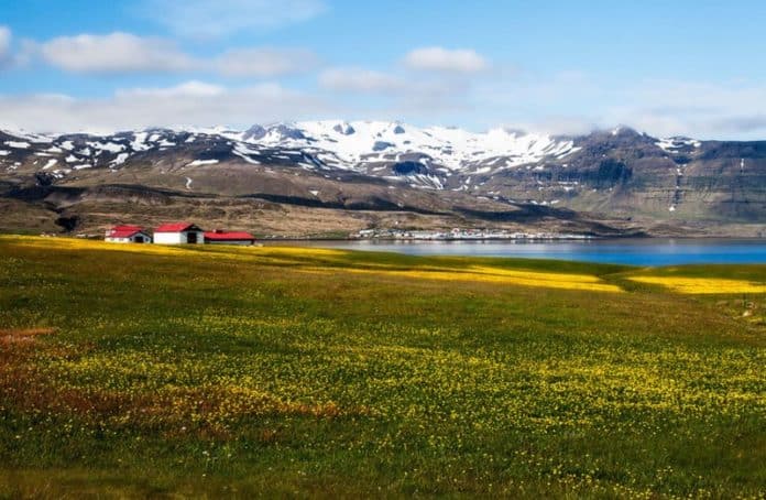 Le printemps en Islande