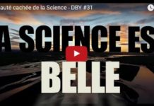 La beauté cachée de la Science par Dirty Biology