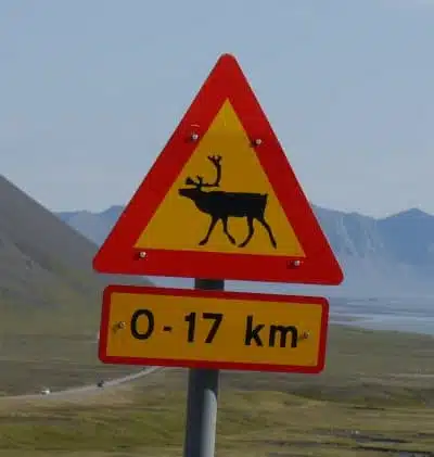 Panneau renne