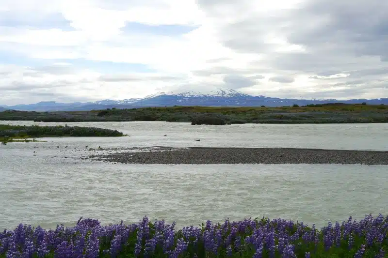 Hekla