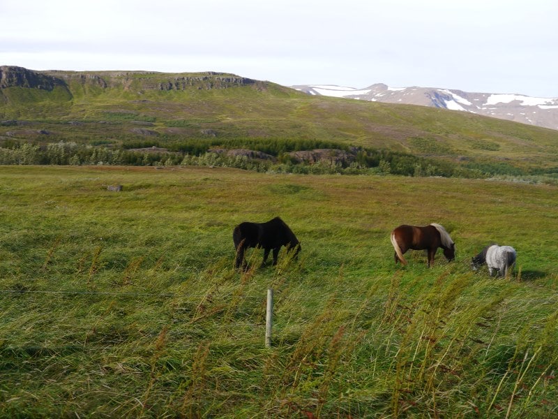 Sud d'Akureyri