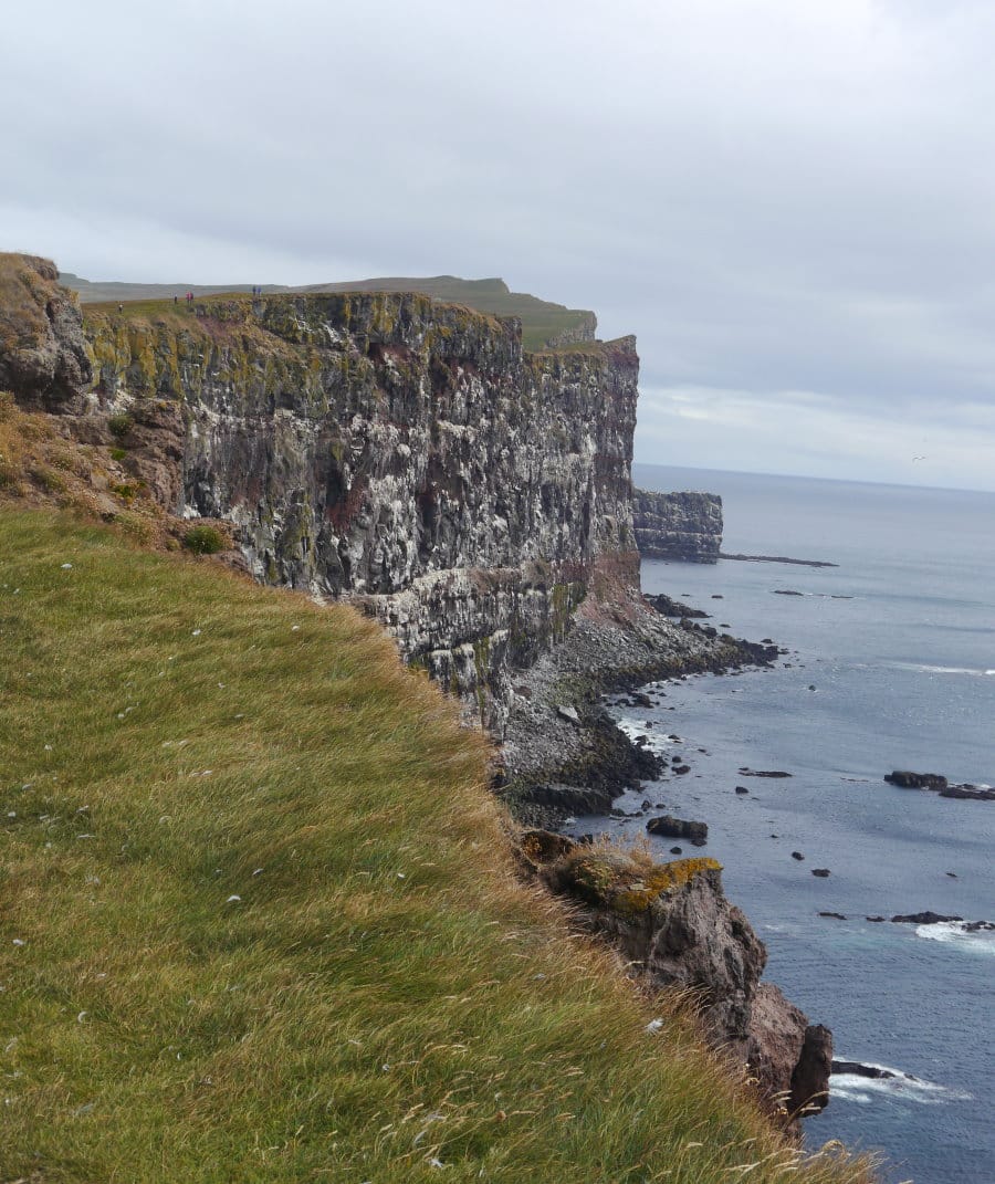 Falaises de Latrabjarg