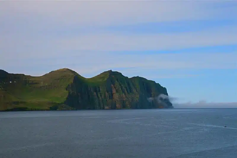 Hornstrandir falaise