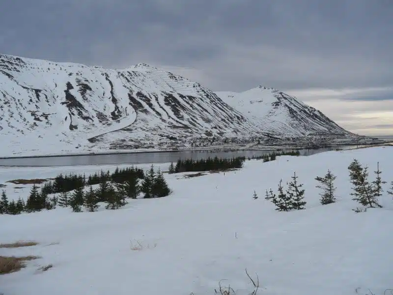 Arctic Coast Way