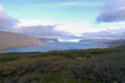 Arnarfjordur Arnarfjordur