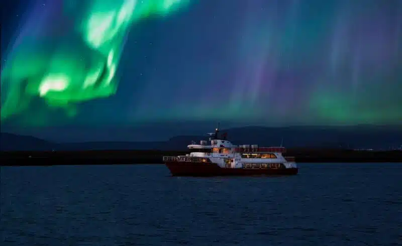 Elding croisière northern light