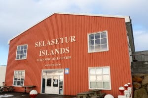 Centre Islandais du Phoque Centre Islandais du Phoque