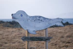 La plage de Illusgastadir La plage de Illusgastadir