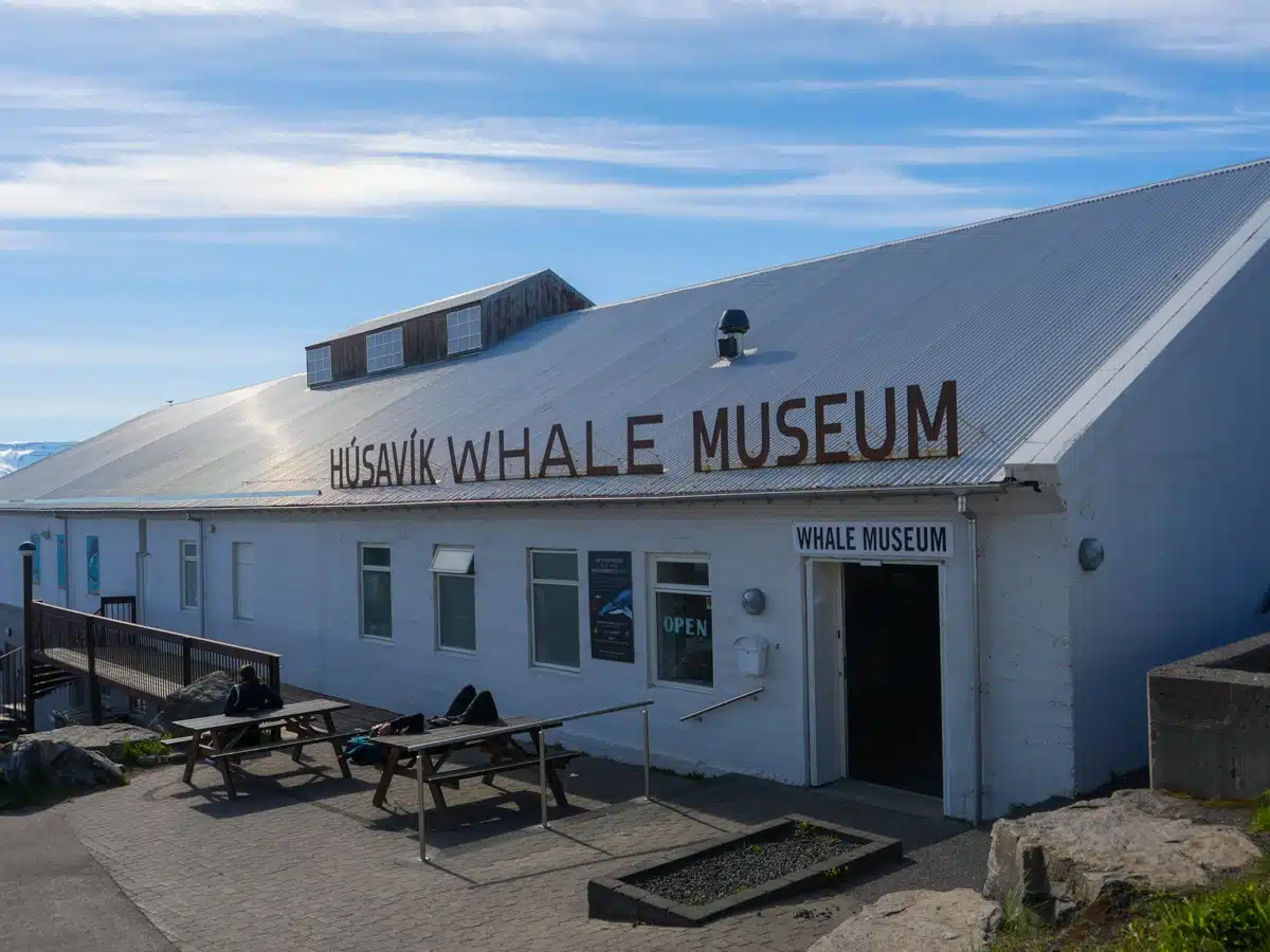 Musée des baleines d'Húsavík