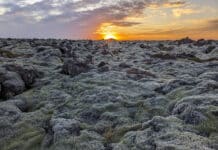 WestJet reçoit le feu vert pour offrir de nouvelles routes vers l’Islande Champ de mousse Islande