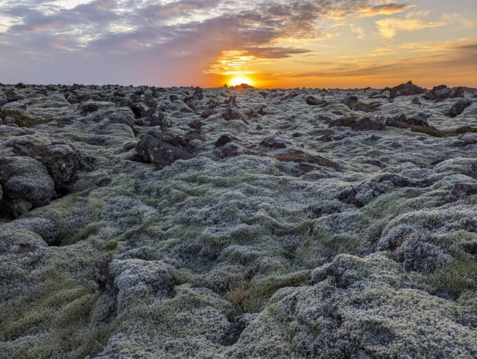 Champ de mousse Islande