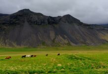 Tourisme responsable en Islande : guide pratique pour un voyage éco-friendly Islande nature