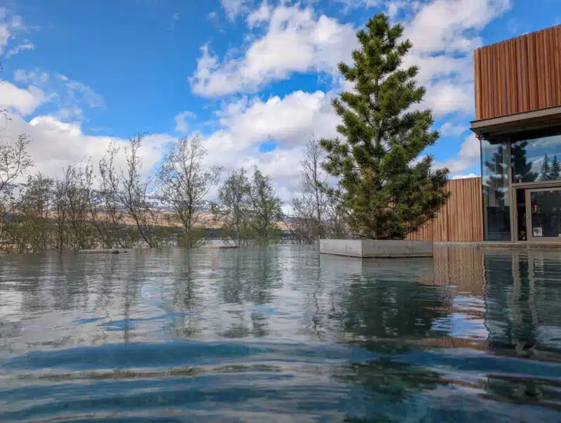 Bain Forest Lagoon