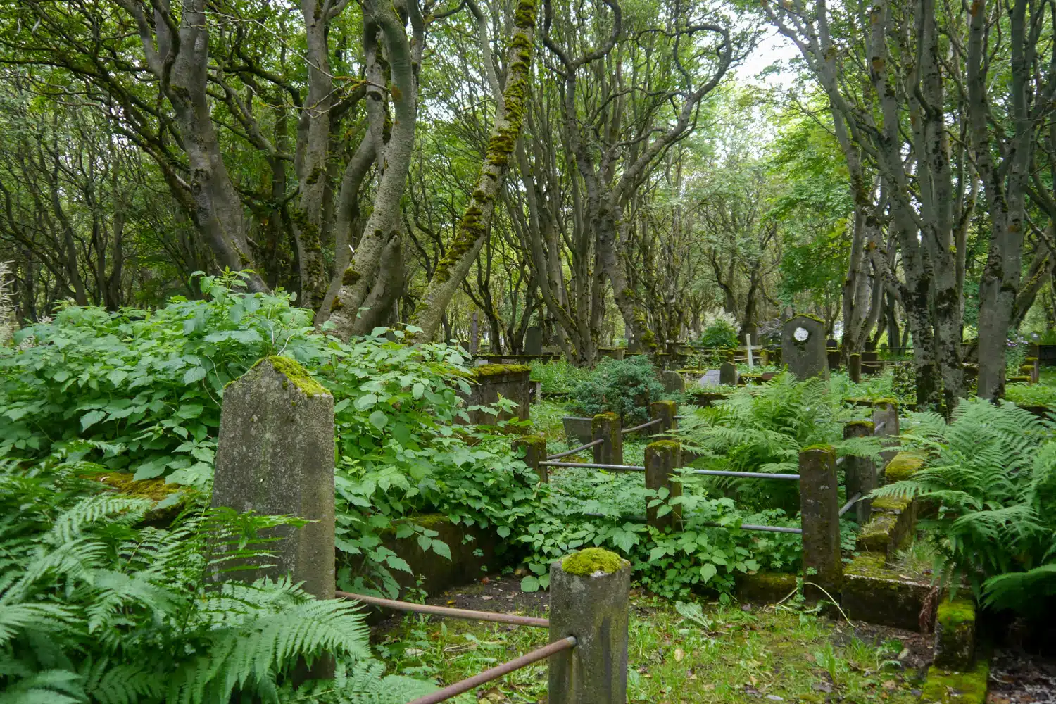 Cimetière Hólavallagarður