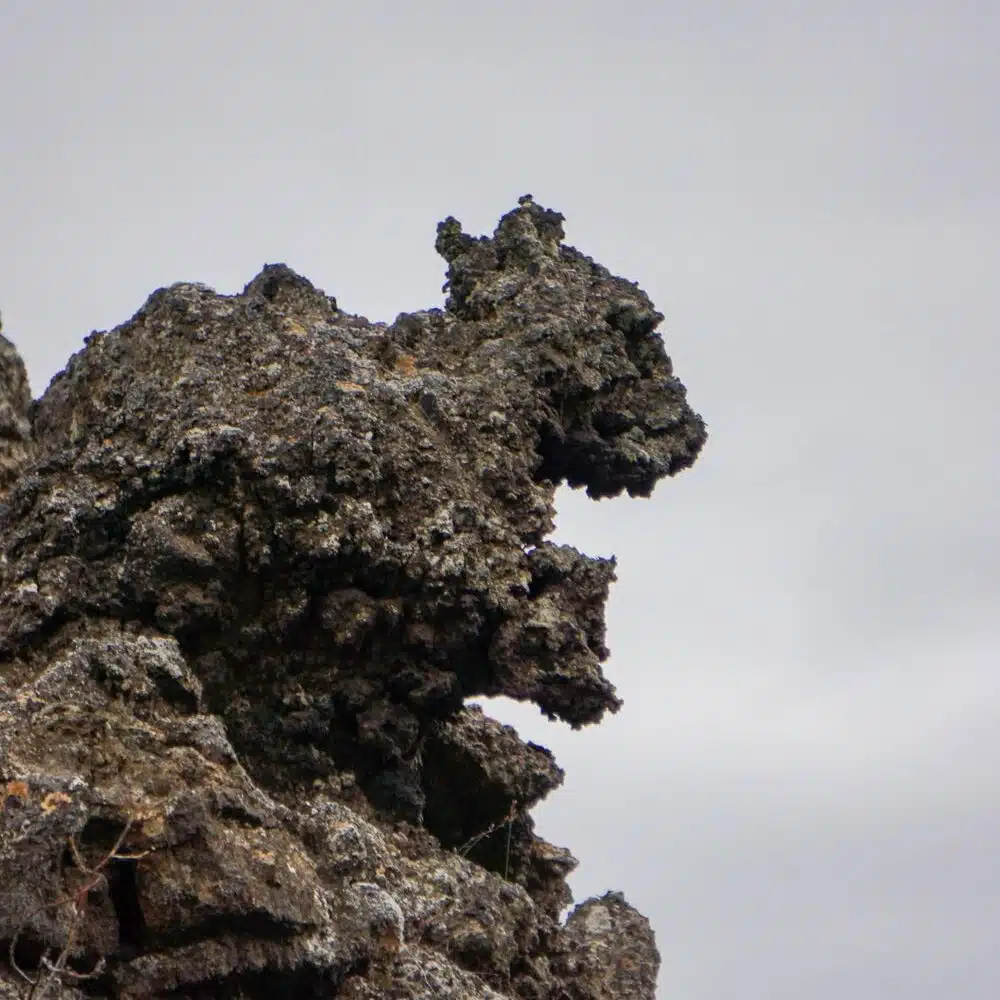 Ecureuil Dimmuborgir