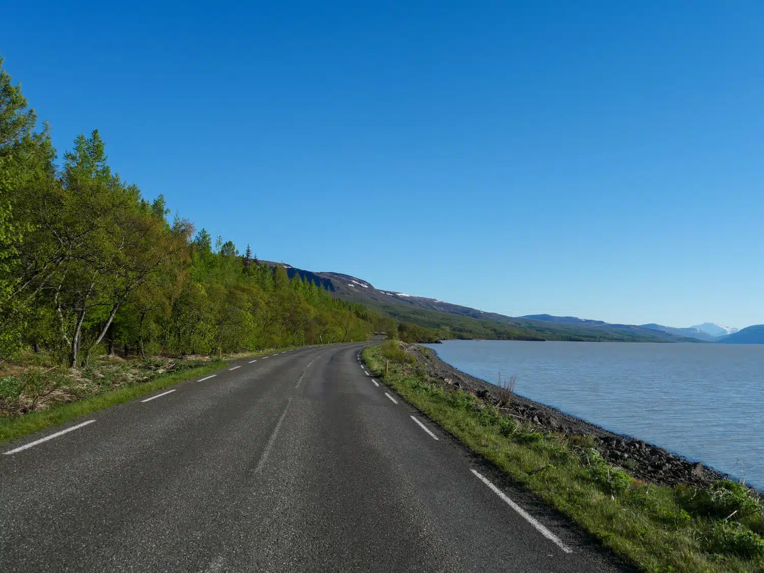 Route de la forêt d'Hallormsstadhur