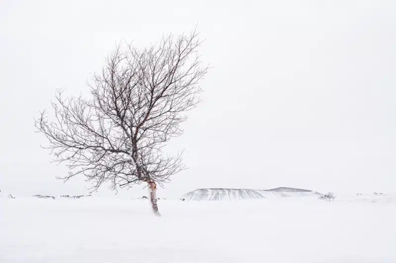 Photo paysage sous la neige